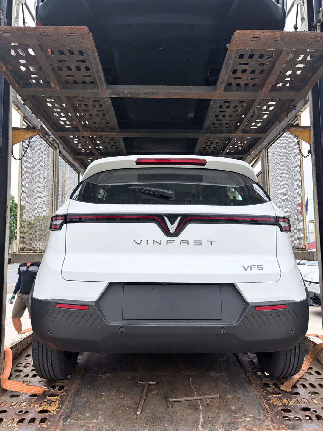 VF WILD