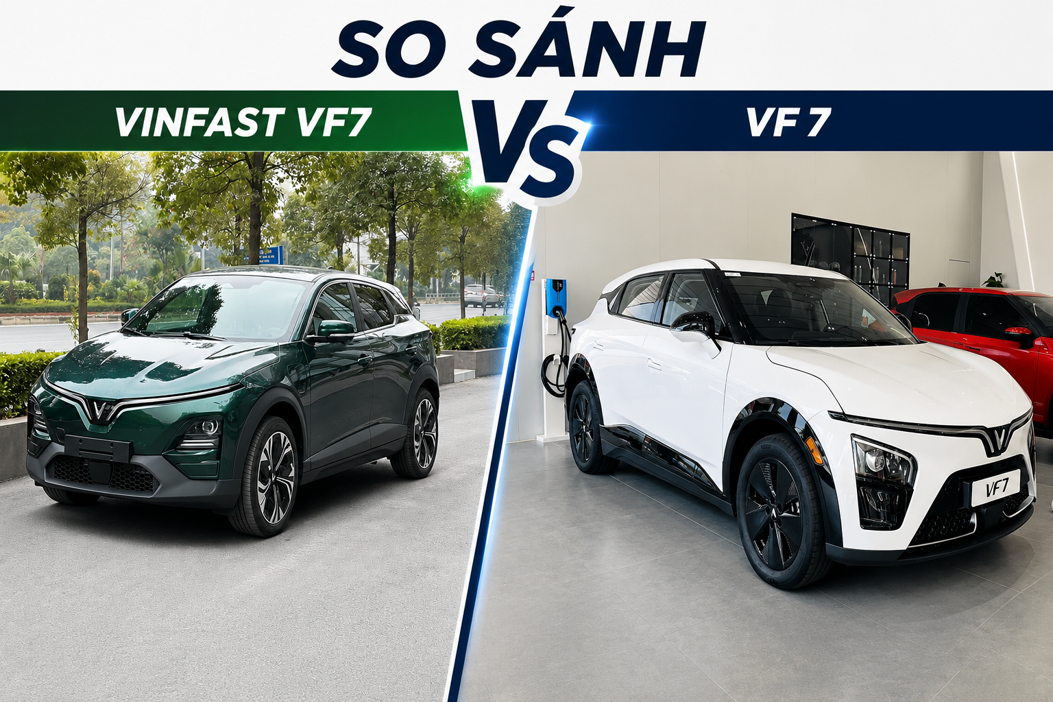 VF WILD